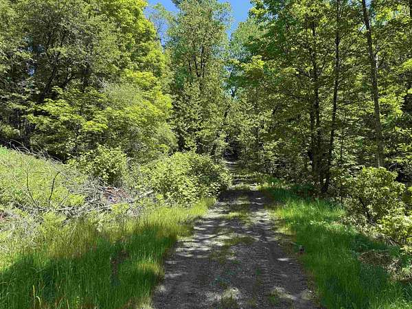 3.1 Acres of Residential Land for Sale in Fairfield, Vermont