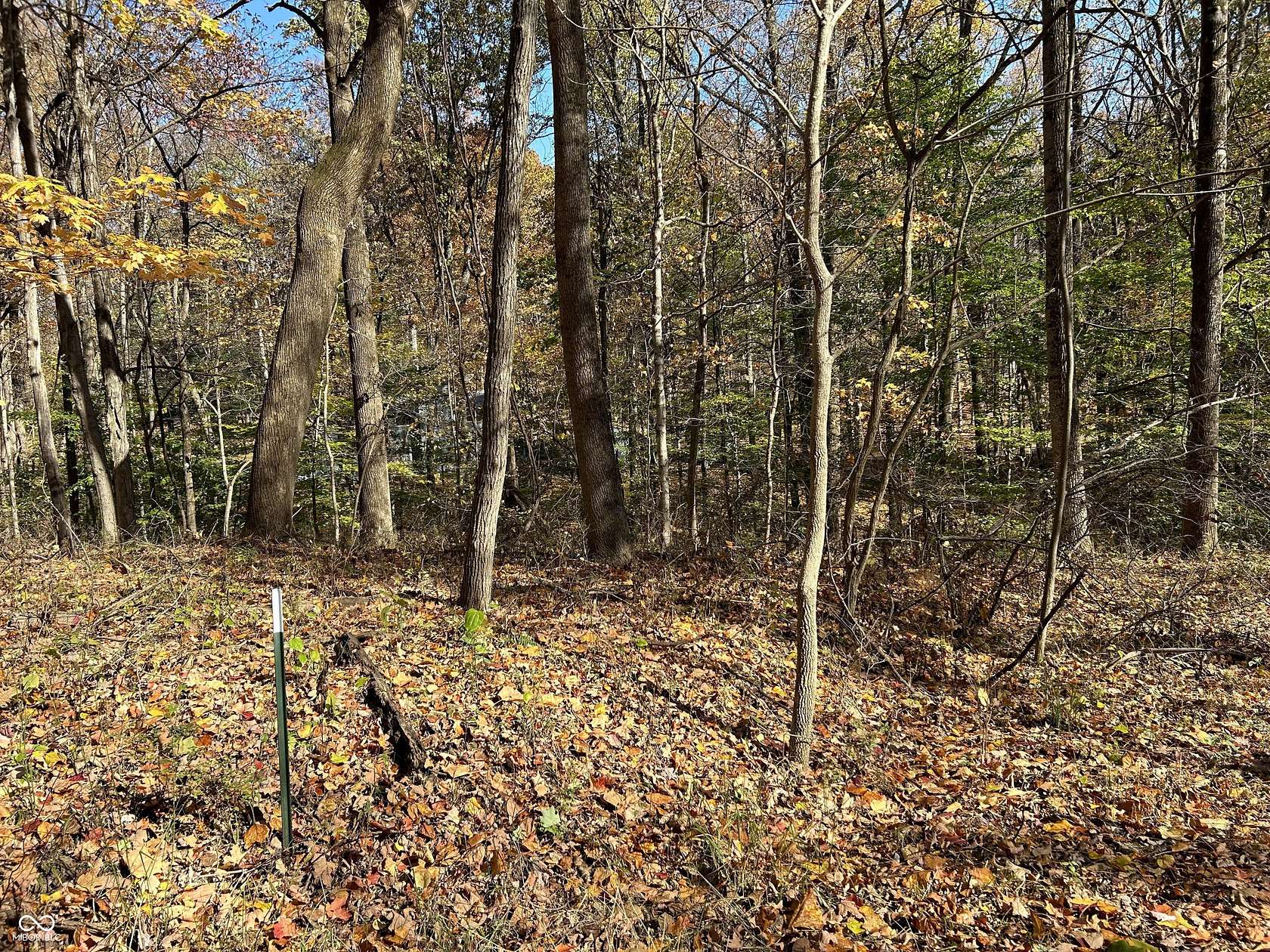 0.24 Acres of Residential Land for Sale in Nineveh, Indiana