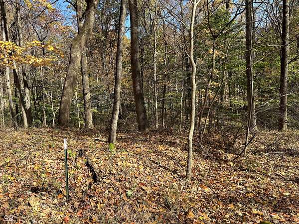 0.24 Acres of Residential Land for Sale in Nineveh, Indiana
