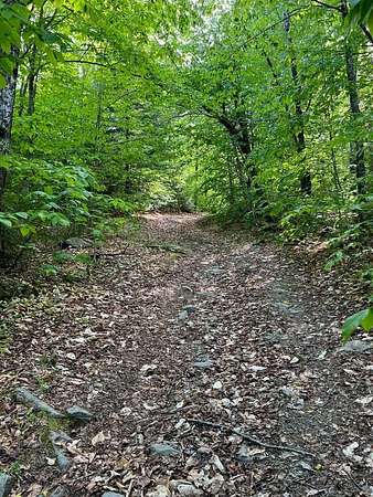 52 Acres of Recreational & Residential Land for Sale in Linneus, Maine