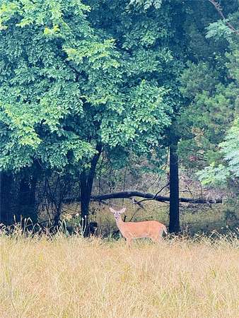 1 Acre of Residential Land for Sale in Whitney, Texas