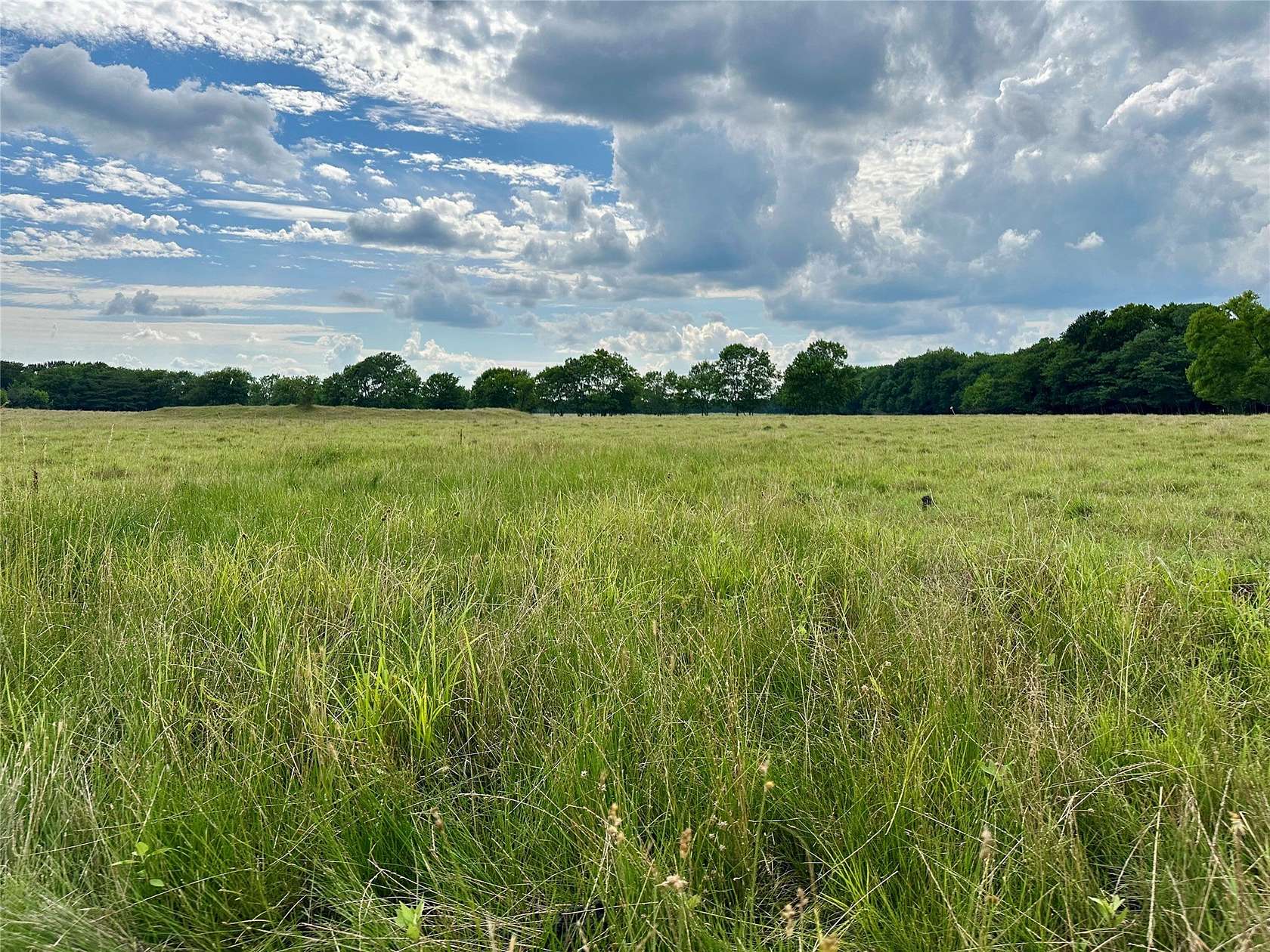 101 Acres of Land for Sale in Cooper, Texas