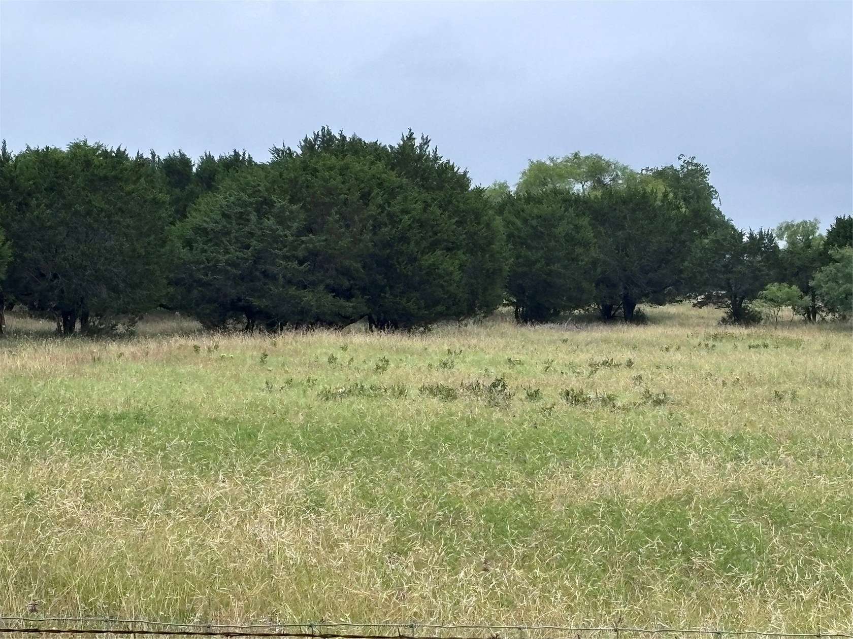 10.7 Acres of Agricultural Land for Sale in Meridian, Texas