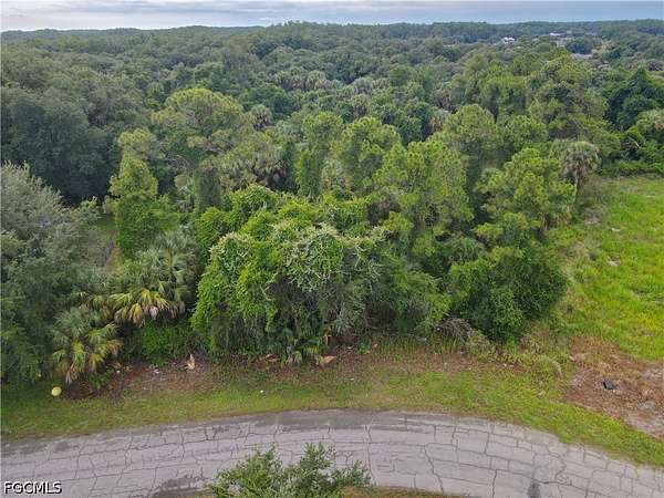0.34 Acres of Residential Land for Sale in LaBelle, Florida