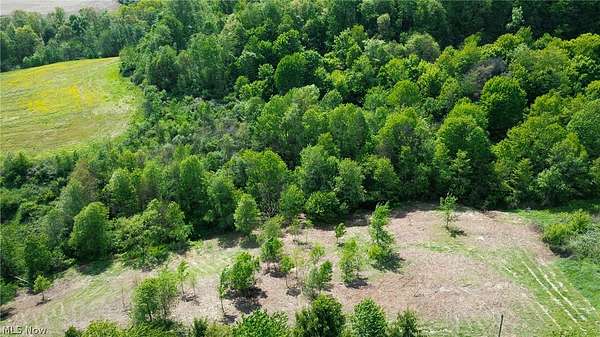 13.5 Acres of Recreational Land for Auction in Stone Creek, Ohio
