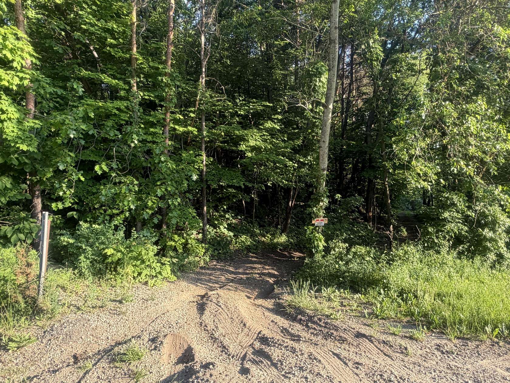 1.46 Acres of Residential Land for Sale in Delton, Michigan