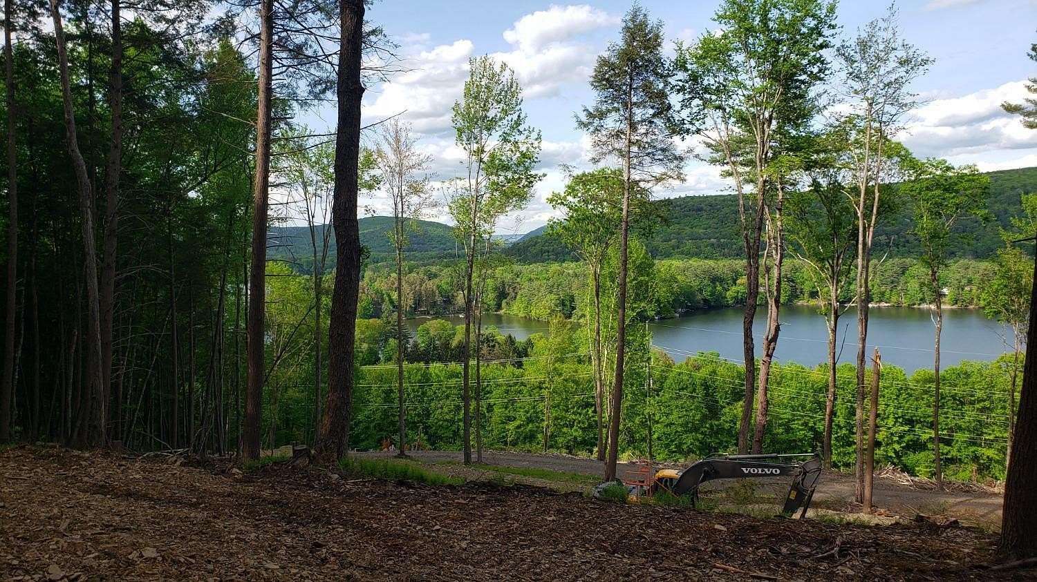 56.3 Acres of Mixed-Use Land for Sale in Milford, New York