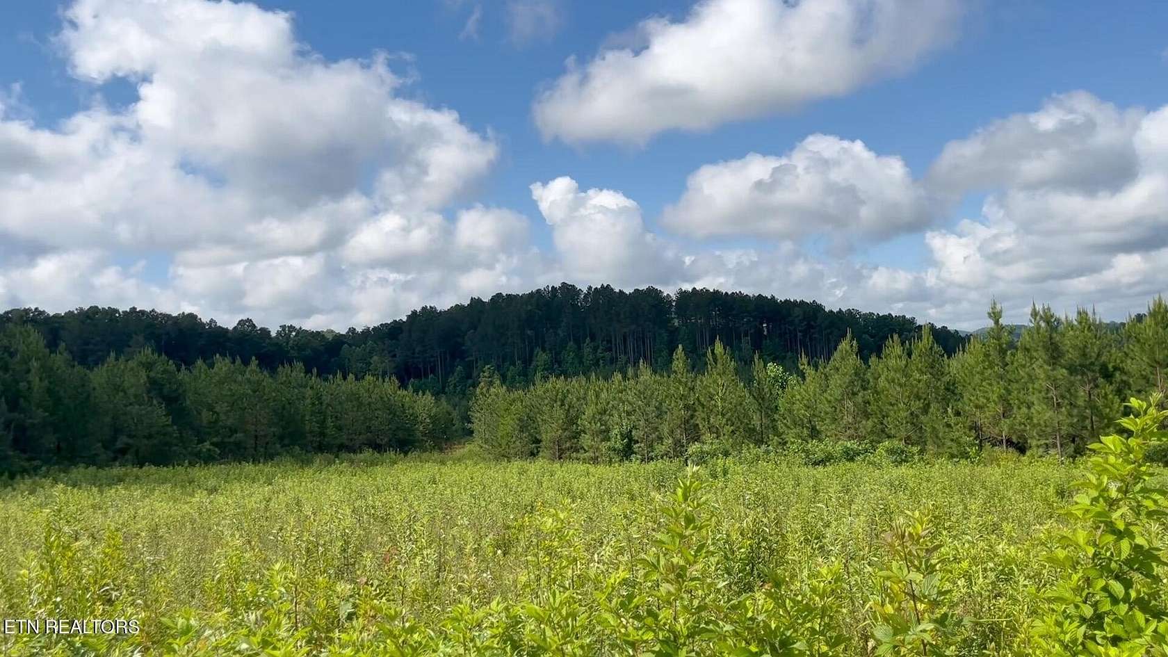 5 Acres of Residential Land for Sale in Madisonville, Tennessee