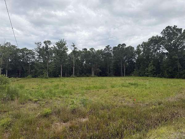 2.75 Acres of Residential Land for Sale in Vidor, Texas
