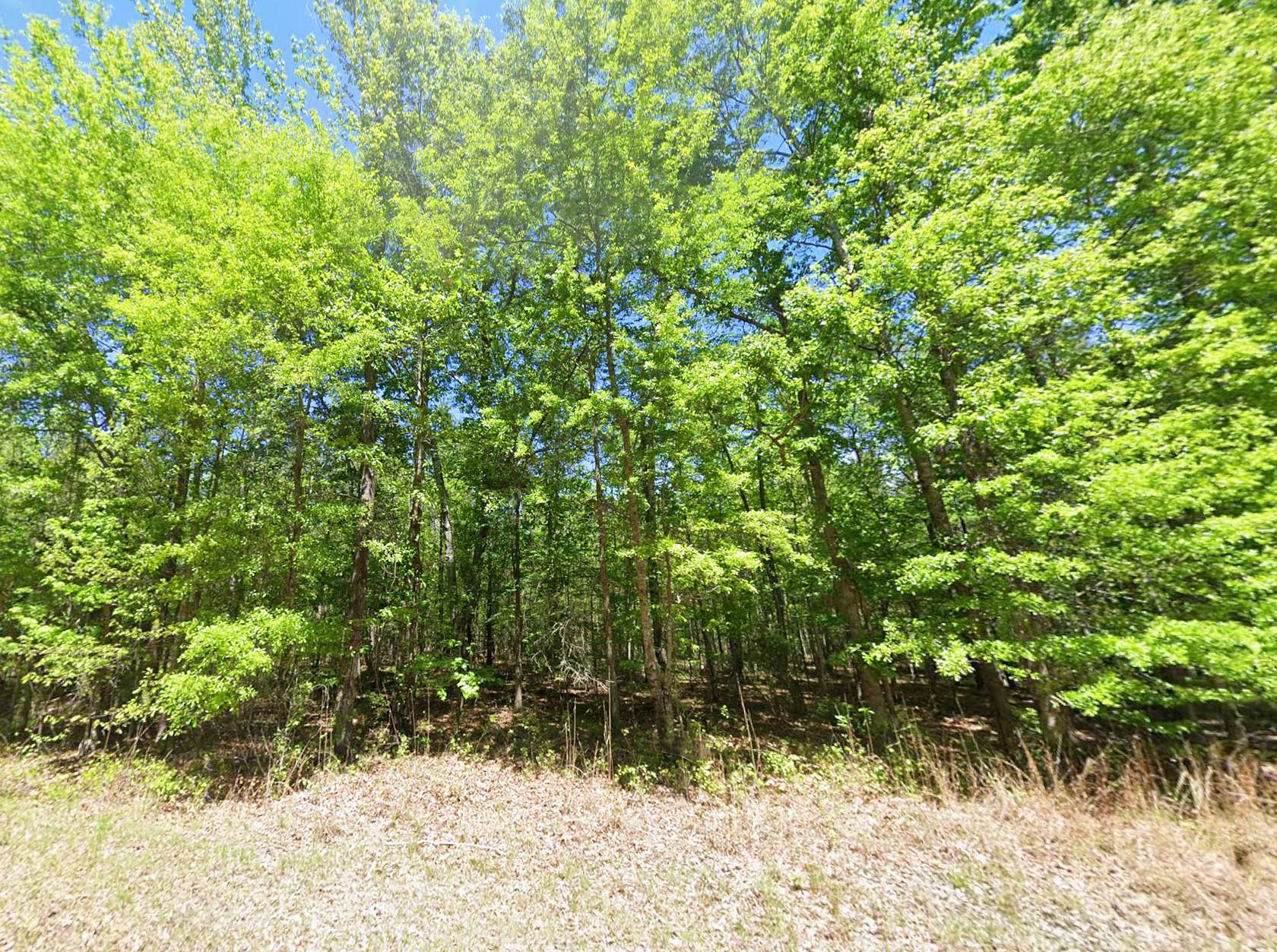 9.2 Acres of Land for Sale in Hardaway, Alabama