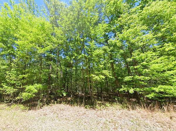 9.2 Acres of Land for Sale in Hardaway, Alabama