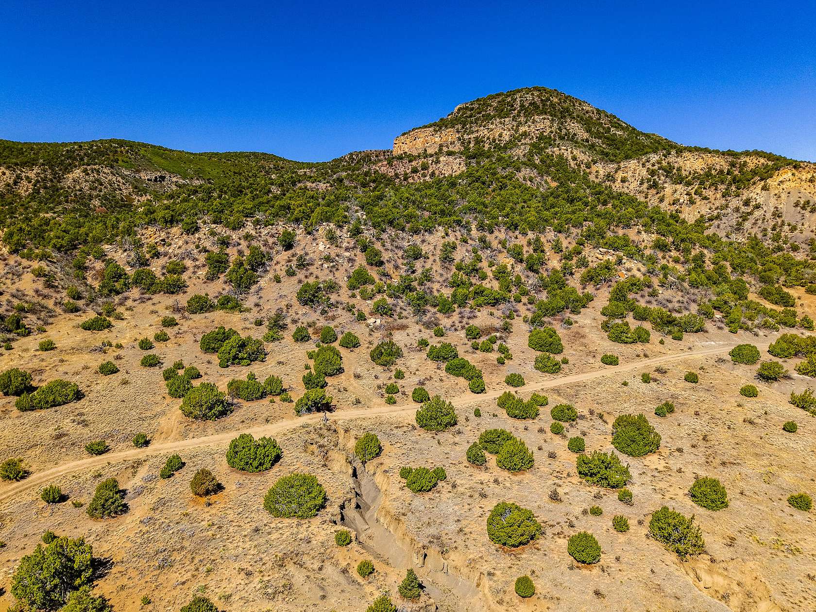 49 Acres of Land for Sale in Trinidad, Colorado