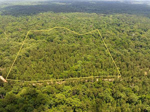 60 Acres of Land for Sale in Jonesville, Louisiana