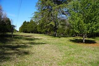 5 Acres of Residential Land for Sale in College Grove, Tennessee