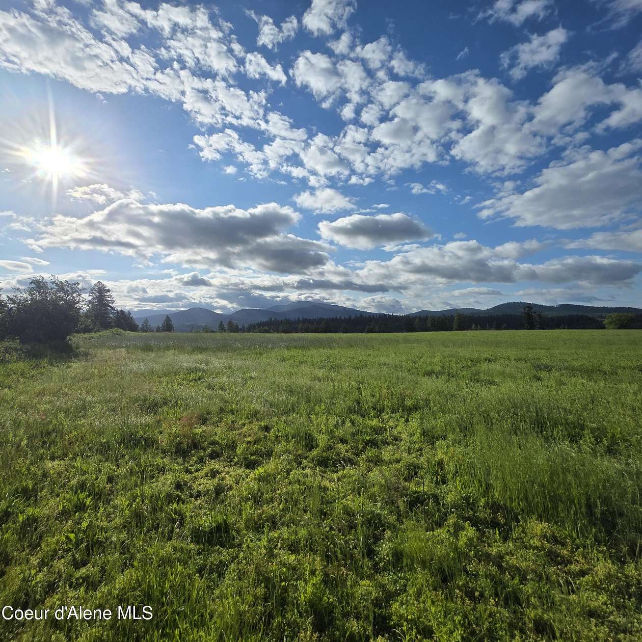 20 Acres of Land for Sale in Harrison, Idaho