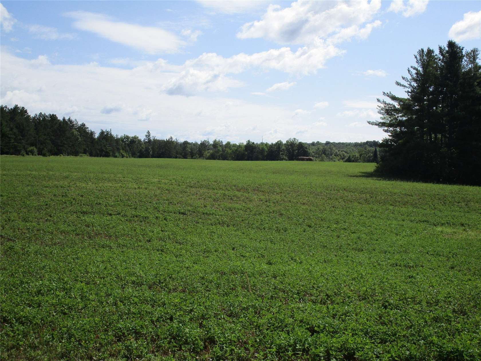 10.8 Acres of Recreational Land for Sale in Ladysmith, Wisconsin