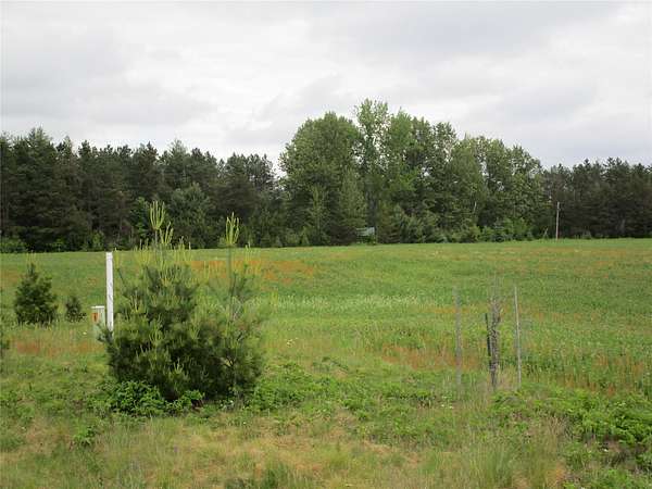 10.8 Acres of Recreational Land for Sale in Ladysmith, Wisconsin