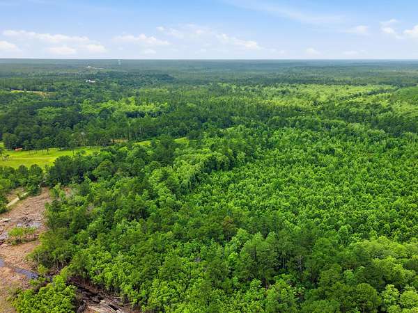 43 Acres of Recreational Land for Sale in DeFuniak Springs, Florida
