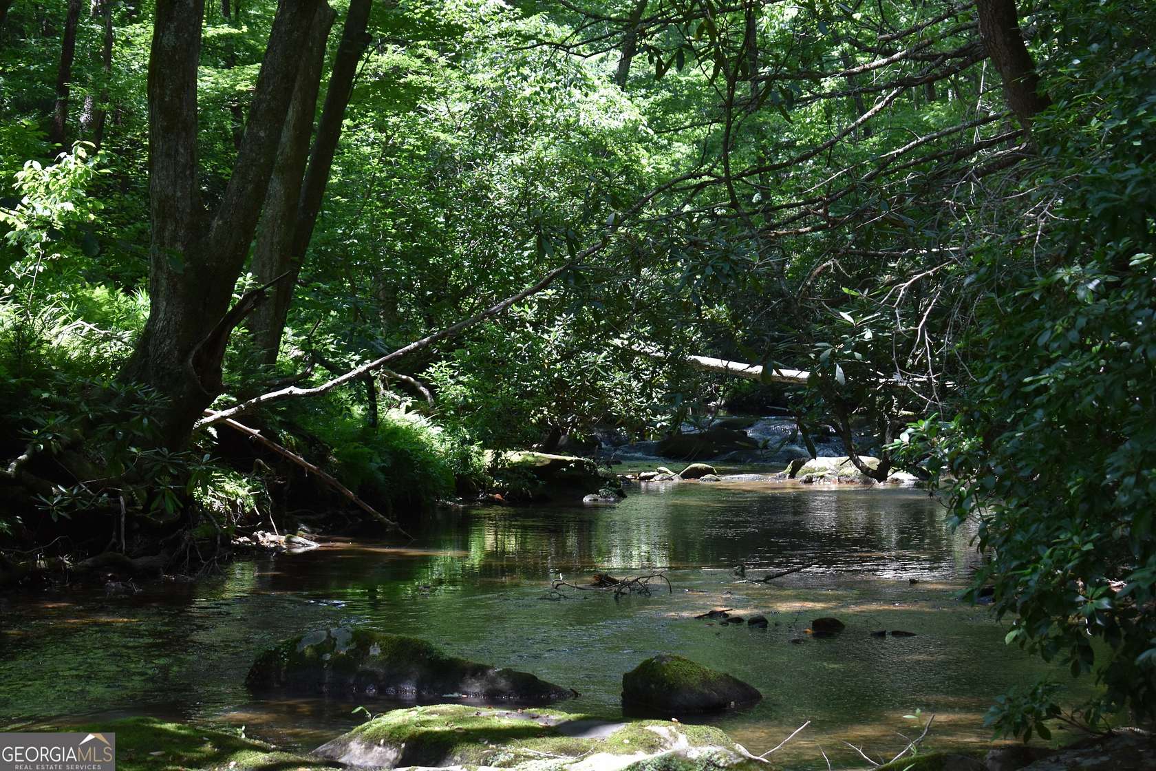 8.28 Acres of Land with Home for Sale in Cherry Log, Georgia