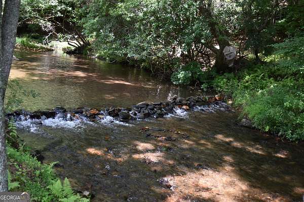 8.28 Acres of Land with Home for Sale in Cherry Log, Georgia