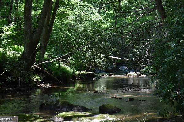 8.28 Acres of Land with Home for Sale in Cherry Log, Georgia