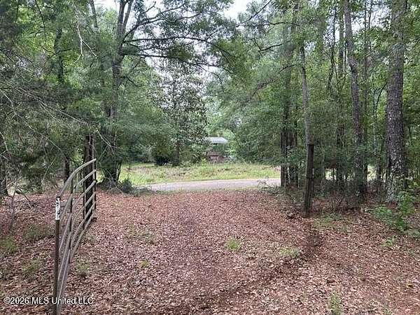 52 Acres of Recreational & Residential Land for Sale in Summit, Mississippi