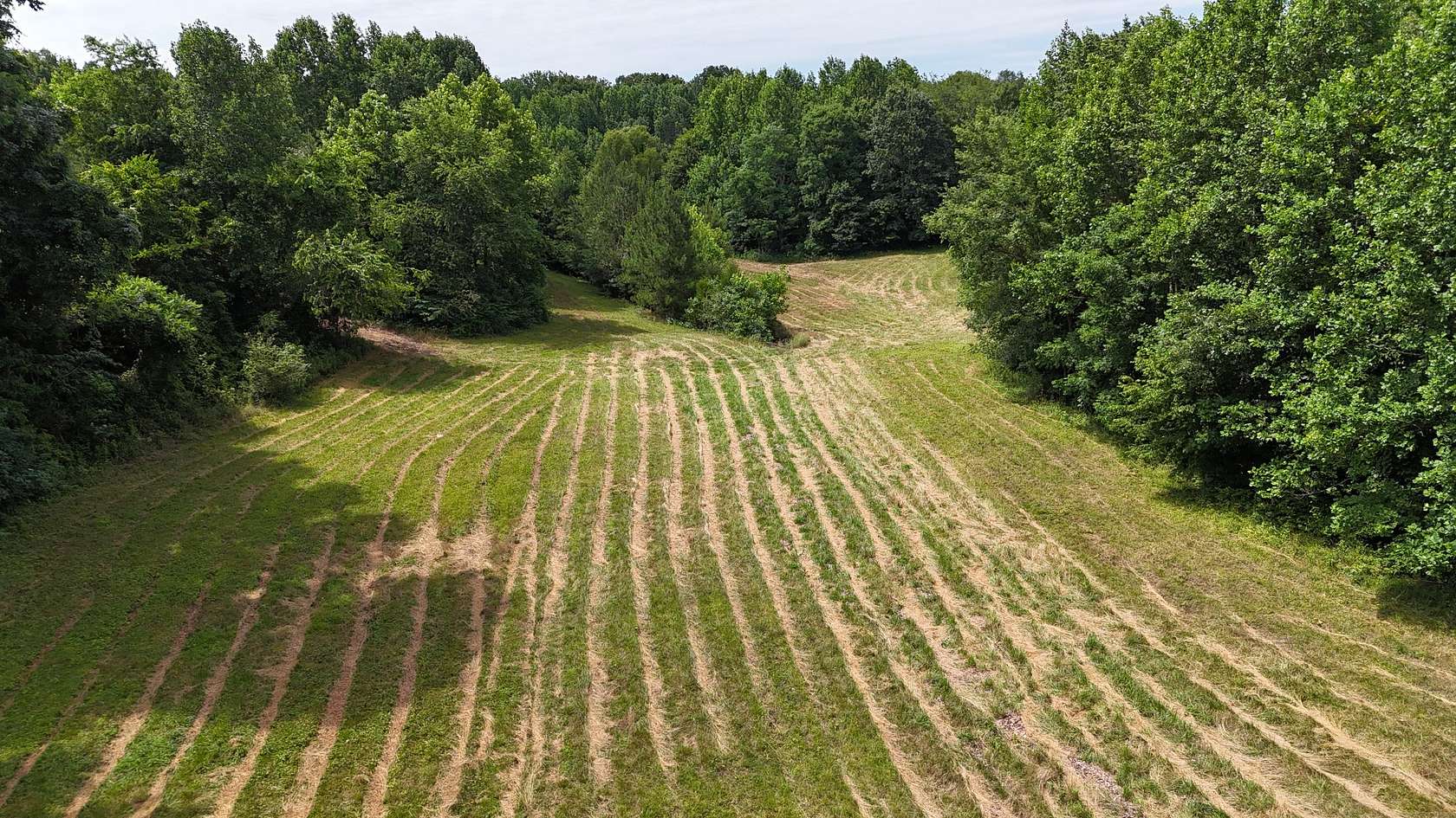 21 Acres of Land for Sale in Big Sandy, Tennessee
