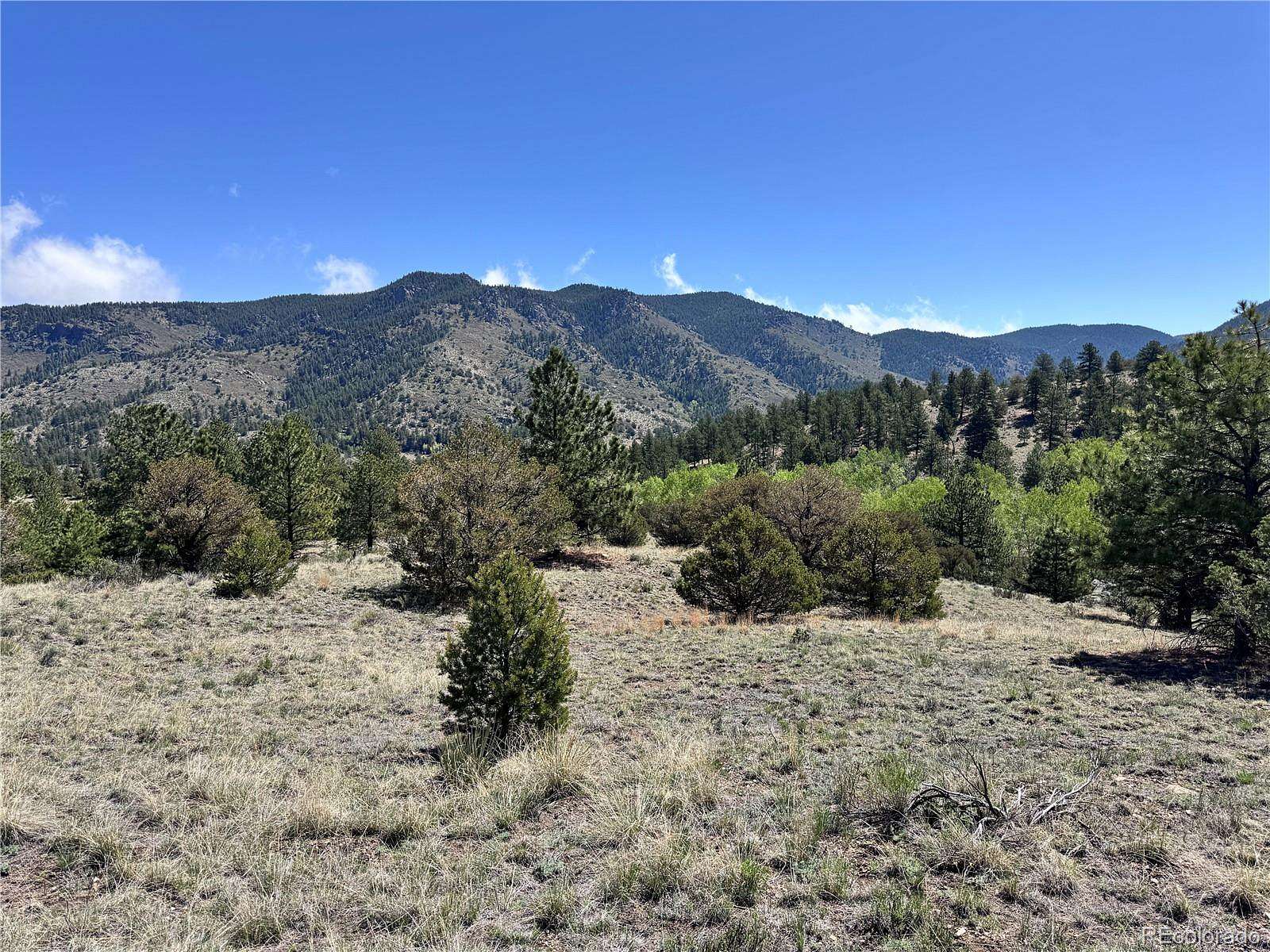 35 Acres of Land for Sale in Westcliffe, Colorado
