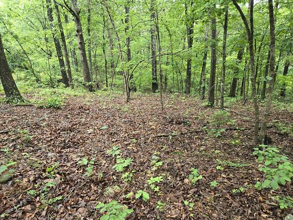 12 Acres of Land for Sale in Caulfield, Missouri