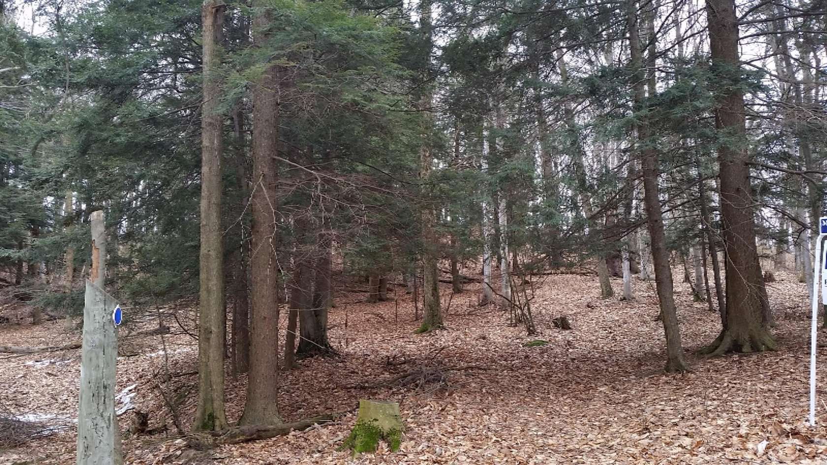 1 Acre of Land for Sale in Shelby, Michigan
