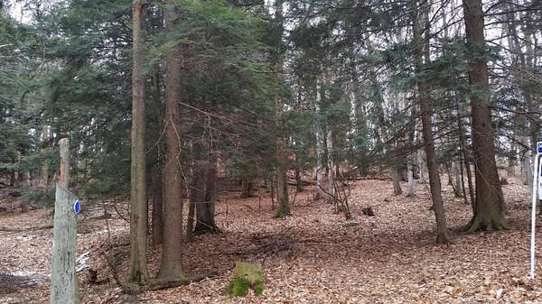 1 Acre of Land for Sale in Shelby, Michigan