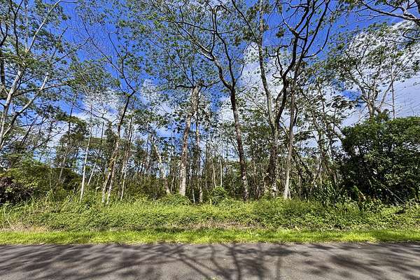 0.18 Acres of Land for Sale in Pahoa, Hawaii