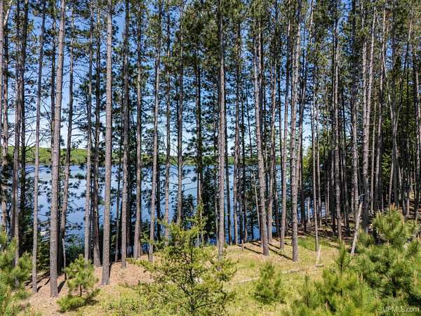 1.13 Acres of Residential Land for Sale in Iron River, Michigan