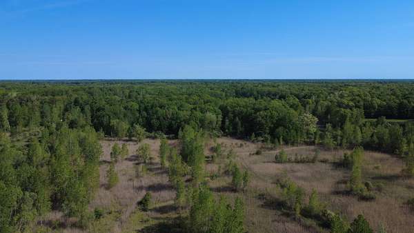 39 Acres of Recreational Land for Sale in Columbus, Michigan