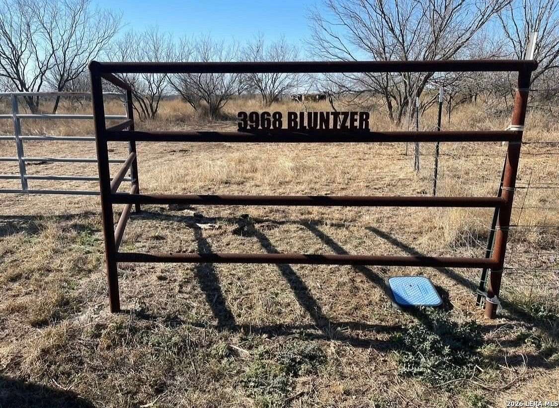 63.5 Acres of Land for Sale in Jourdanton, Texas