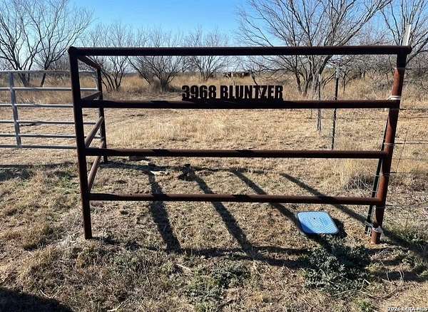 63.5 Acres of Land for Sale in Jourdanton, Texas