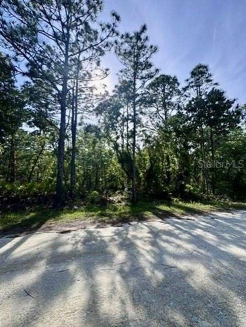 1 Acre of Residential Land for Sale in Weeki Wachee, Florida