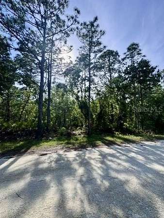 1 Acre of Residential Land for Sale in Weeki Wachee, Florida