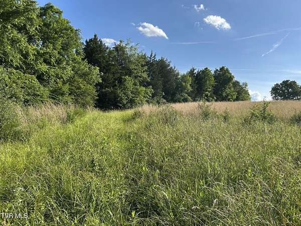 4.5 Acres of Land for Sale in Rogersville, Tennessee