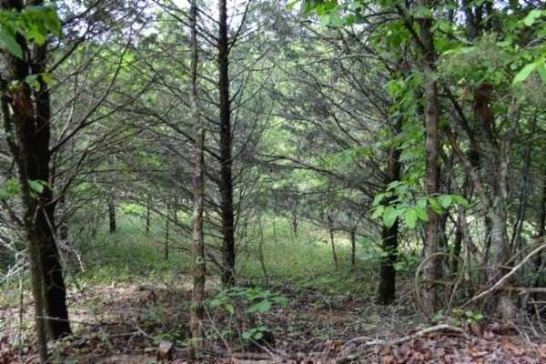9 Acres of Land for Sale in Burkesville, Kentucky