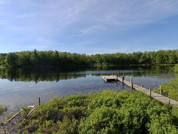 0.37 Acres of Land for Sale in Bitely, Michigan