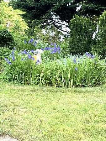 0.16 Acres of Residential Land for Sale in Chatham, Massachusetts