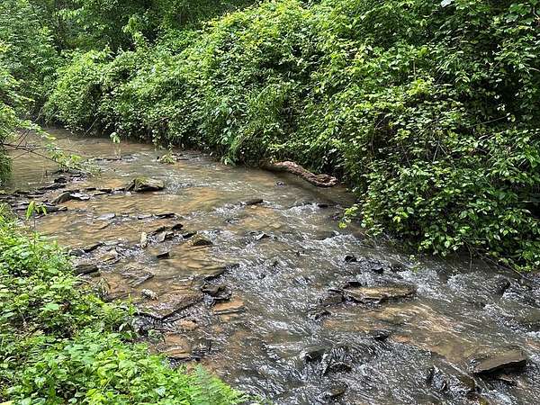1 Acre of Residential Land for Sale in Ellijay, Georgia