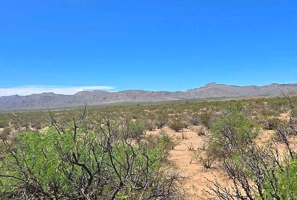 20 Acres of Recreational & Residential Land for Sale in Fort Hancock, Texas