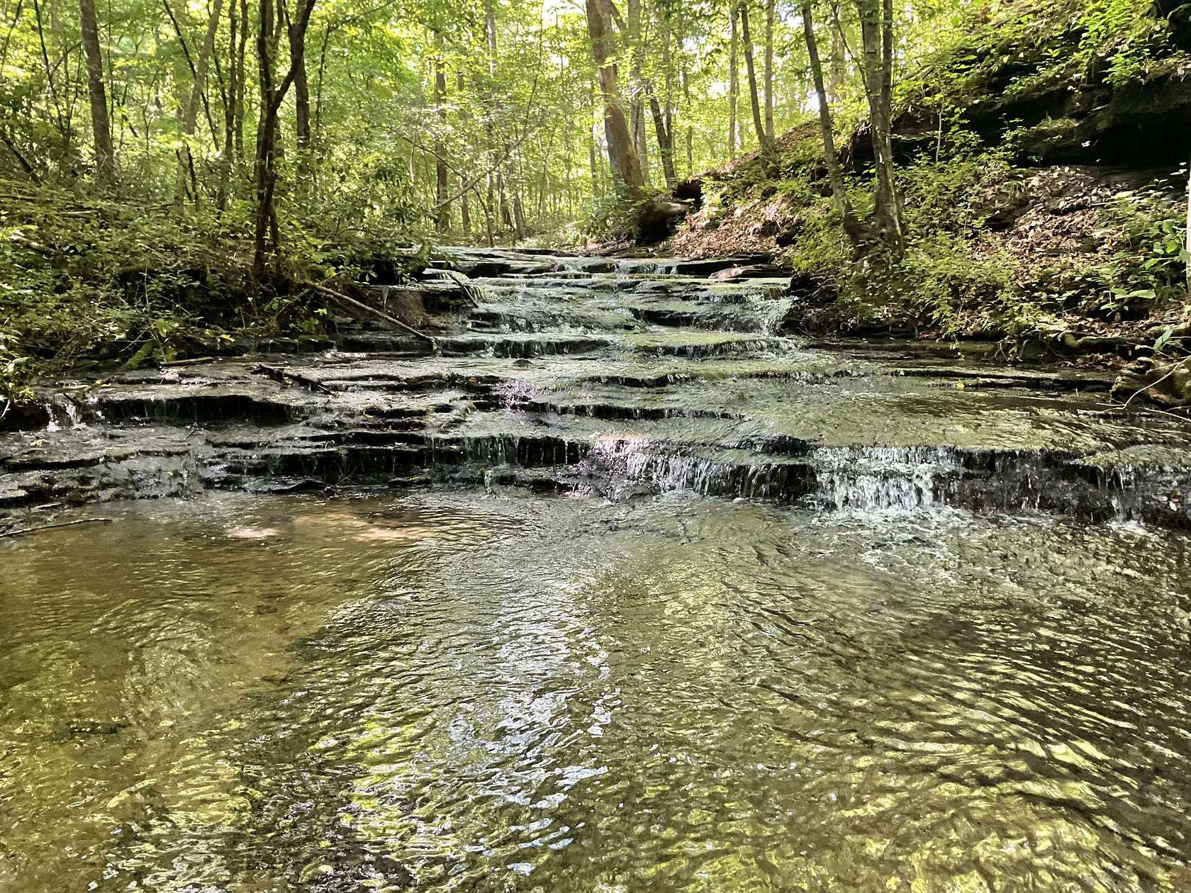 34.5 Acres of Recreational & Residential Land for Sale in Tullahoma, Tennessee