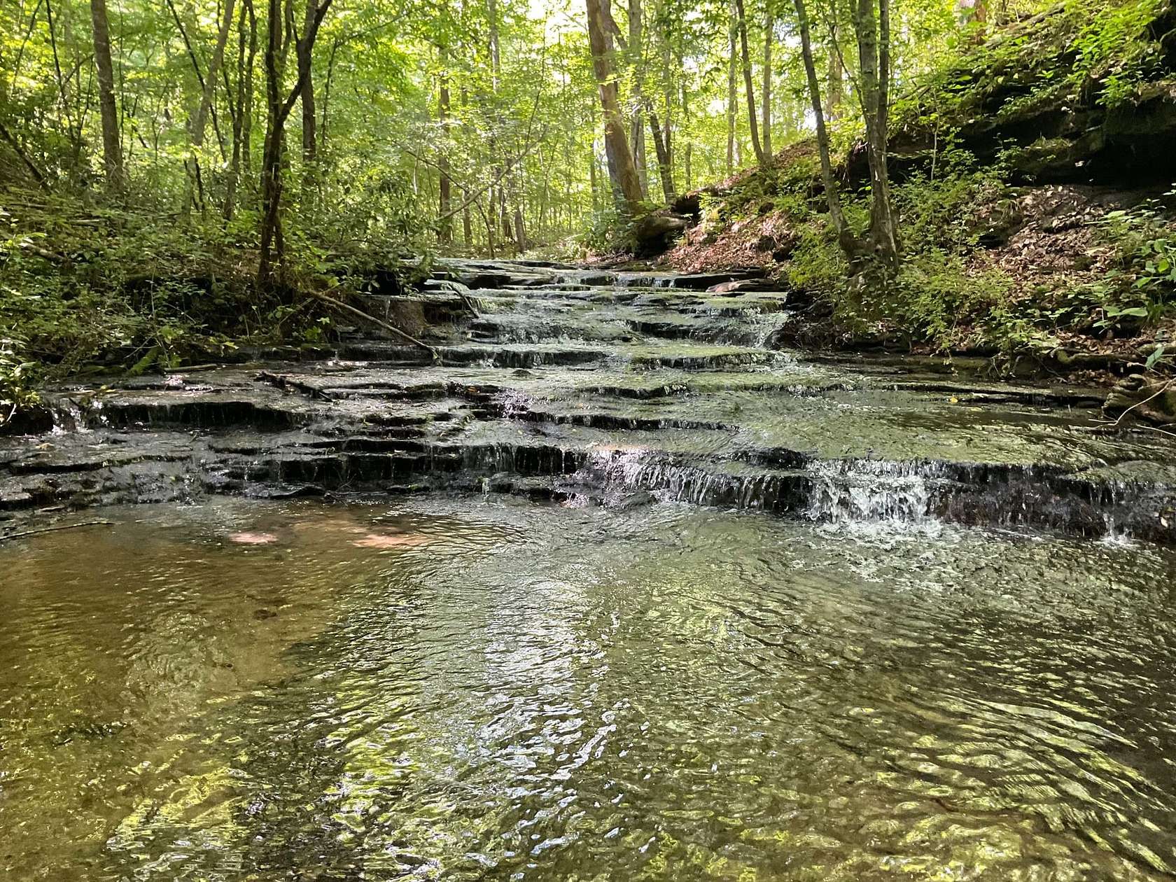 34.5 Acres of Recreational Land for Sale in Tullahoma, Tennessee