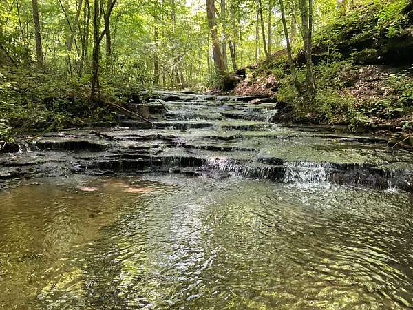 34.5 Acres of Recreational Land for Sale in Tullahoma, Tennessee