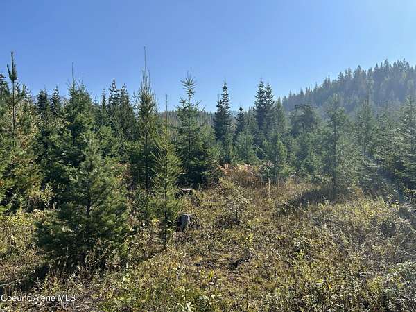 20 Acres of Land for Sale in Clark Fork, Idaho