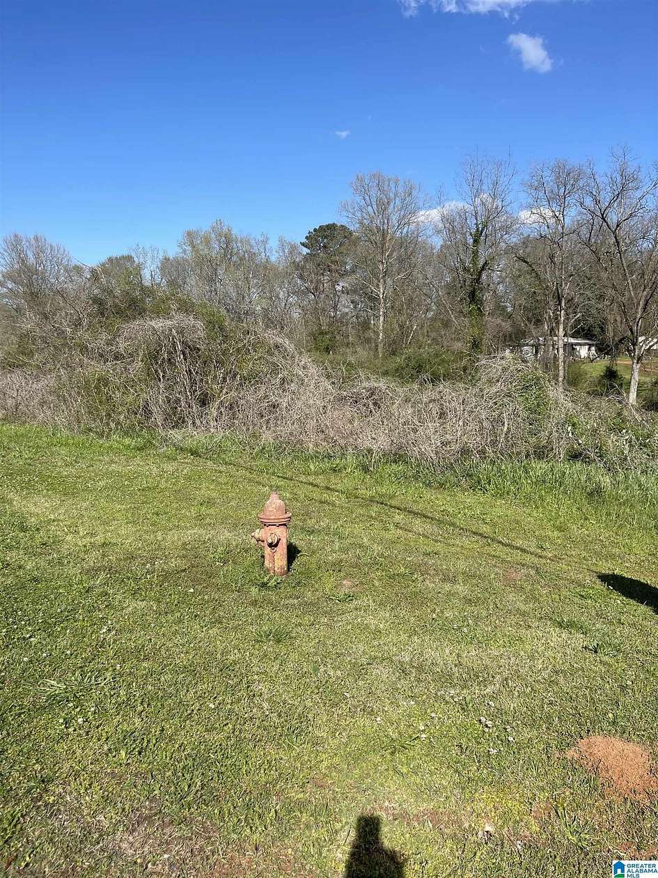 0.74 Acres of Residential Land for Sale in Roanoke, Alabama