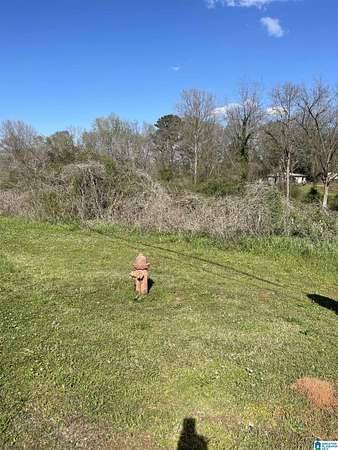 0.74 Acres of Residential Land for Sale in Roanoke, Alabama